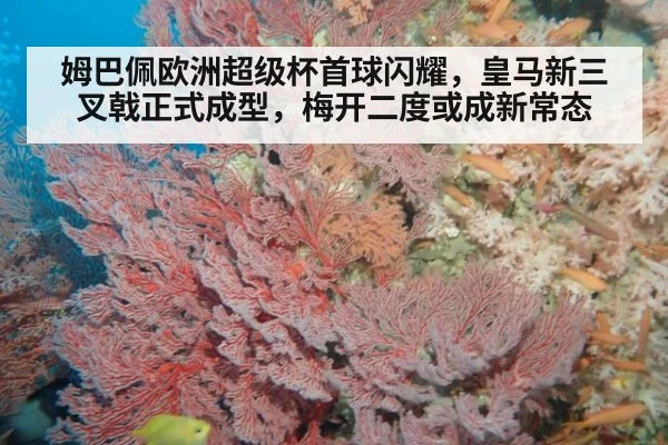 姆巴佩欧洲超级杯首球闪耀，皇马新三叉戟正式成型，梅开二度或成新常态
